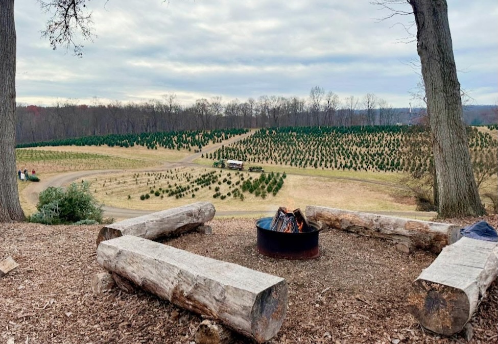 Warm up by a Bonfire